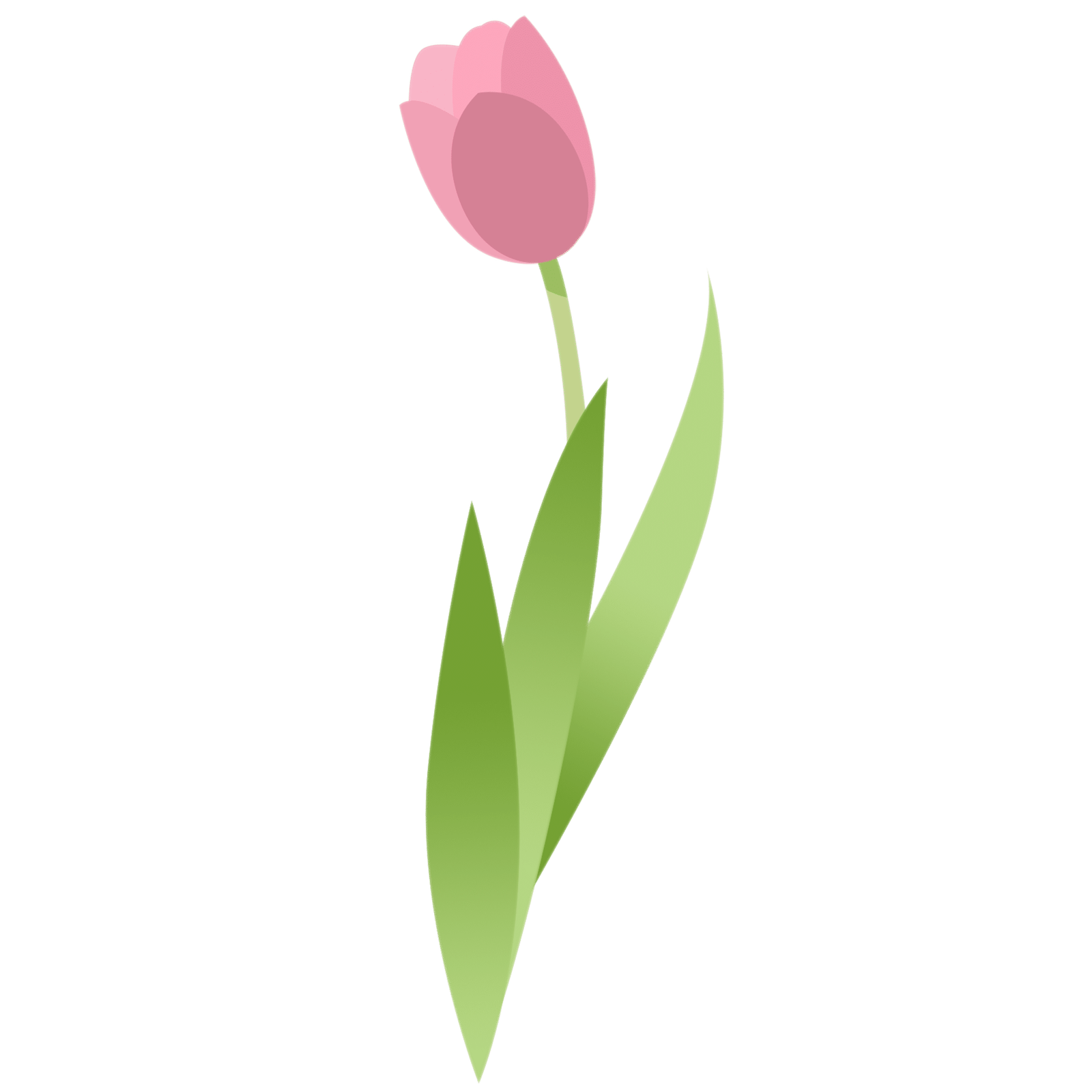 —Pngtree—tulip bouquet bloom_5410860
