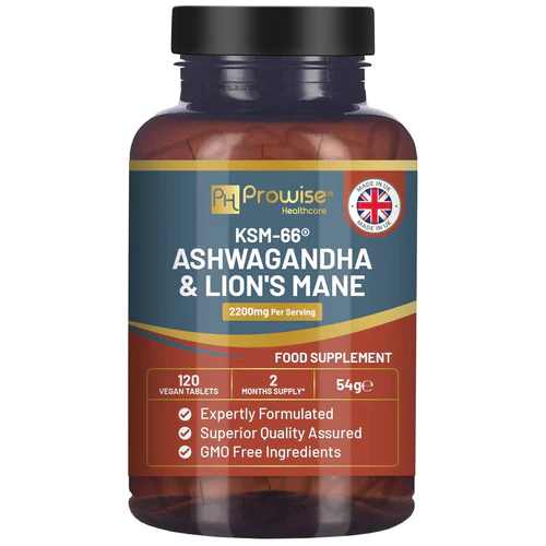 KSM-66 Ashwagandha-Wurzelextrakt und Löwenmähne-Pilzextrakt